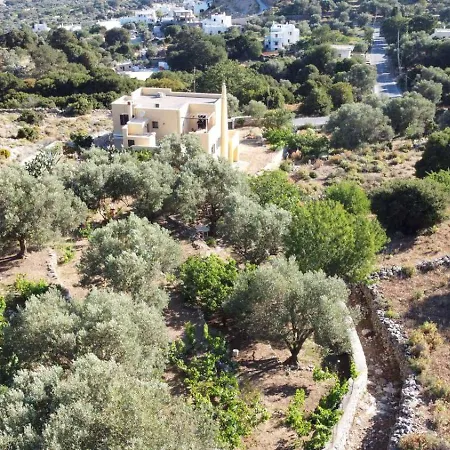 Oak & Olive Village, Naxos Island Center Filótion